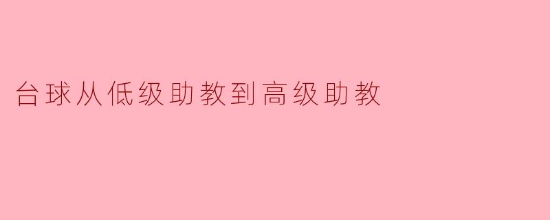 台球从低级助教到高级助教