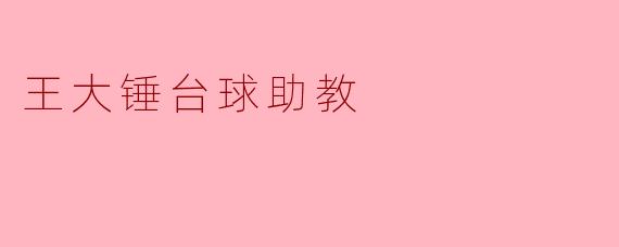 王大锤台球助教