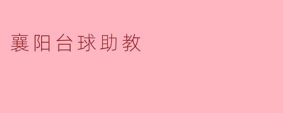 襄阳台球助教