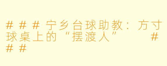 ###宁乡台球助教:方寸球桌上的“摆渡人”
###