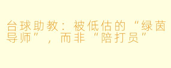 台球助教:被低估的“绿茵导师”,而非“陪打员”