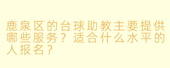鹿泉区的台球助教主要提供哪些服务?适合什么水平的人报名?
