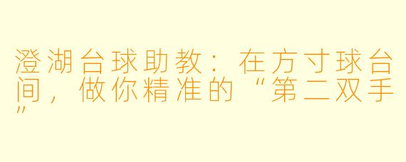 澄湖台球助教：在方寸球台间，做你精准的“第二双手”