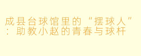成县台球馆里的“摆球人”:助教小赵的青春与球杆