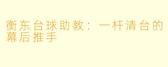 衡东台球助教:一杆清台的幕后推手