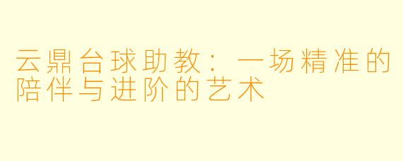 云鼎台球助教：一场精准的陪伴与进阶的艺术