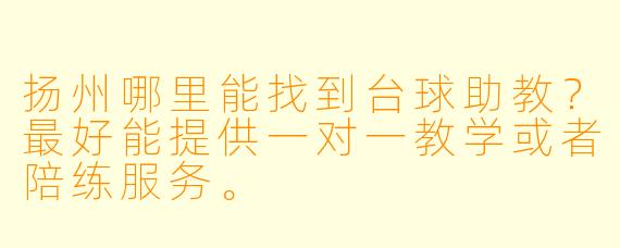 扬州哪里能找到台球助教？最好能提供一对一教学或者陪练服务。
