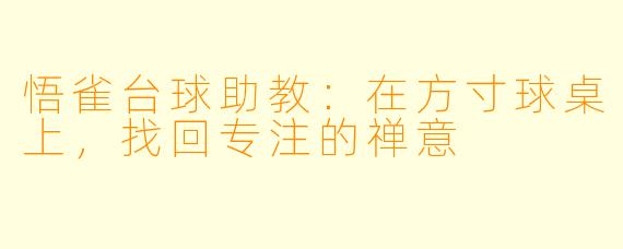 悟雀台球助教:在方寸球桌上,找回专注的禅意