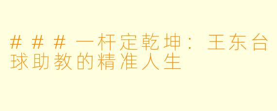 ###一杆定乾坤:王东台球助教的精准人生