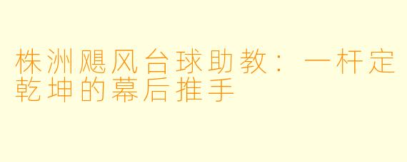 株洲飓风台球助教：一杆定乾坤的幕后推手