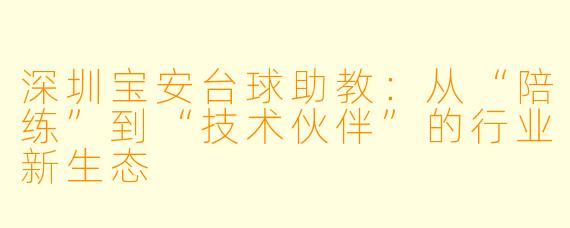 深圳宝安台球助教:从“陪练”到“技术伙伴”的行业新生态