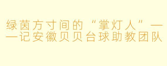 绿茵方寸间的“掌灯人”——记安徽贝贝台球助教团队