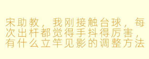 宋助教，我刚接触台球，每次出杆都觉得手抖得厉害，有什么立竿见影的调整方法吗？