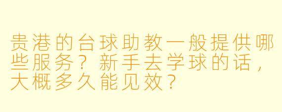 贵港的台球助教一般提供哪些服务？新手去学球的话，大概多久能见效？
