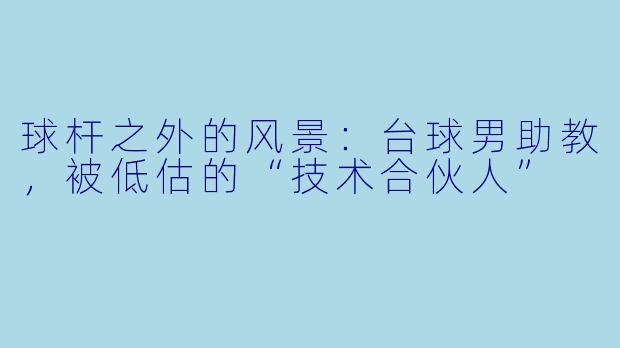 球杆之外的风景:台球男助教,被低估的“技术合伙人”