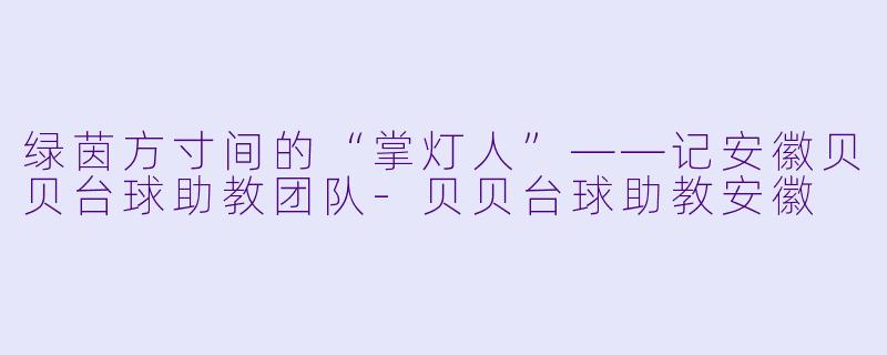 绿茵方寸间的“掌灯人”——记安徽贝贝台球助教团队-贝贝台球助教安徽