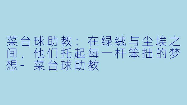 菜台球助教:在绿绒与尘埃之间,他们托起每一杆笨拙的梦想-菜台球助教