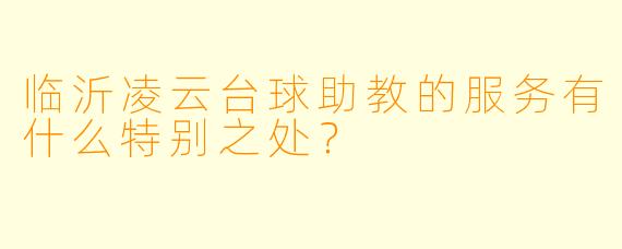 临沂凌云台球助教的服务有什么特别之处?