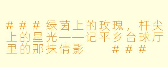 ###绿茵上的玫瑰,杆尖上的星光——记平乡台球厅里的那抹倩影
###