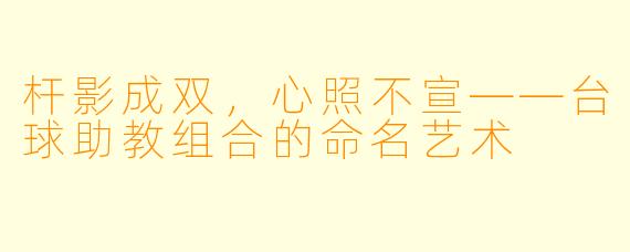 杆影成双,心照不宣——台球助教组合的命名艺术