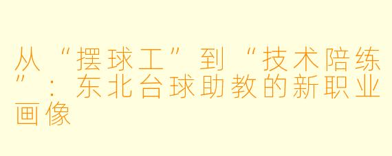 从“摆球工”到“技术陪练”:东北台球助教的新职业画像