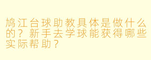 鸠江台球助教具体是做什么的?新手去学球能获得哪些实际帮助?