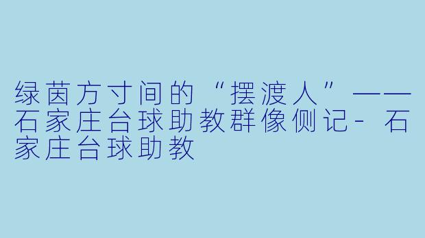 绿茵方寸间的“摆渡人”——石家庄台球助教群像侧记-石家庄台球助教