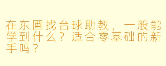 在东圃找台球助教,一般能学到什么?适合零基础的新手吗?