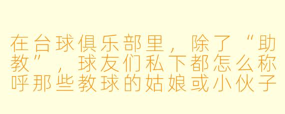 在台球俱乐部里，除了“助教”，球友们私下都怎么称呼那些教球的姑娘或小伙子？能给我列个“称呼大全”吗？