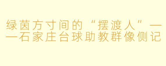 绿茵方寸间的“摆渡人”——石家庄台球助教群像侧记