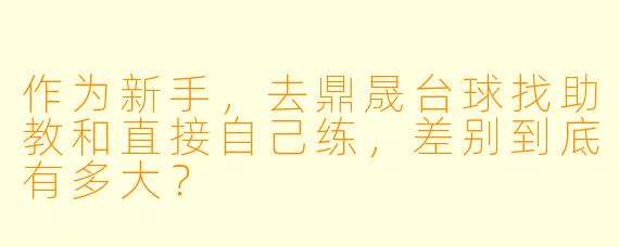 作为新手,去鼎晟台球找助教和直接自己练,差别到底有多大?