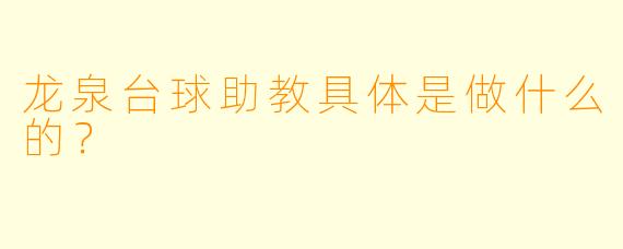 龙泉台球助教具体是做什么的?