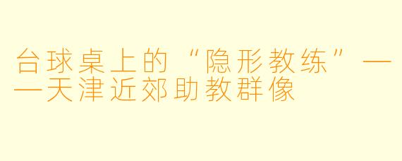 台球桌上的“隐形教练”——天津近郊助教群像