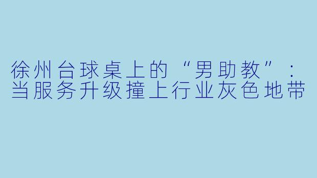 徐州台球桌上的“男助教”:当服务升级撞上行业灰X 地带