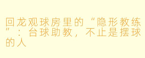 回龙观球房里的“隐形教练”:台球助教,不止是摆球的人