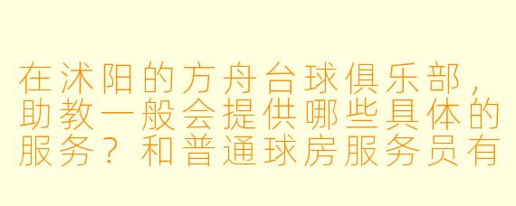 在沭阳的方舟台球俱乐部,助教一般会提供哪些具体的服务?和普通球房服务员有什么区别?