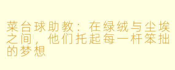 菜台球助教:在绿绒与尘埃之间,他们托起每一杆笨拙的梦想