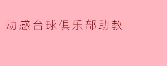 动感台球俱乐部助教