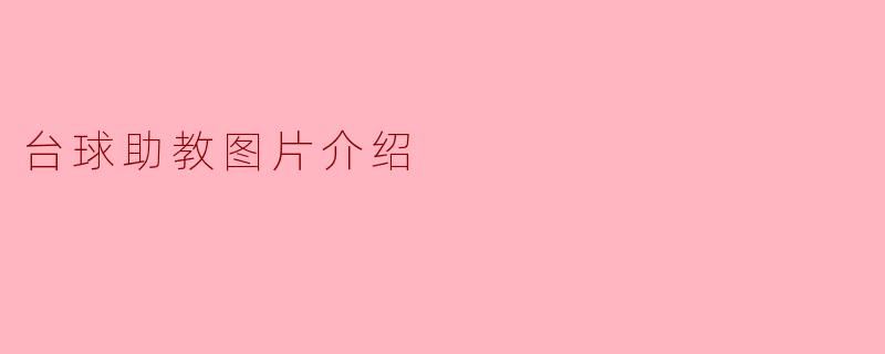 台球助教图片介绍