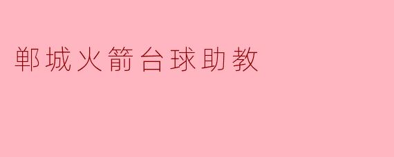 郸城火箭台球助教