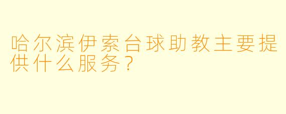 哈尔滨伊索台球助教主要提供什么服务？