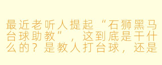 最近老听人提起“石狮黑马台球助教”，这到底是干什么的？是教人打台球，还是陪打？