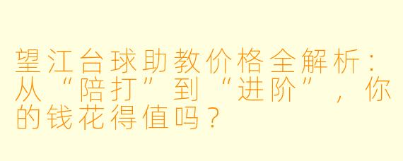 望江台球助教价格全解析:从“陪打”到“进阶”,你的钱花得值吗?
