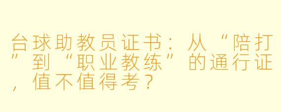 台球助教员证书:从“陪打”到“职业教练”的通行证,值不值得考?