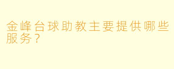 金峰台球助教主要提供哪些服务？