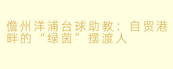 儋州洋浦台球助教：自贸港畔的“绿茵”摆渡人