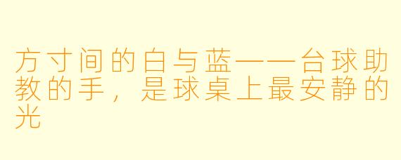 方寸间的白与蓝——台球助教的手，是球桌上最安静的光