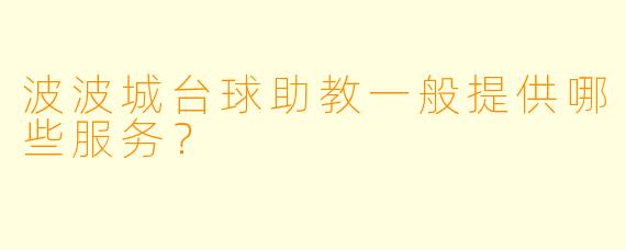 波波城台球助教一般提供哪些服务?