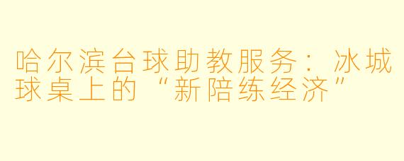 哈尔滨台球助教服务:冰城球桌上的“新陪练经济”