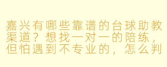 嘉兴有哪些靠谱的台球助教渠道?想找一对一的陪练,但怕遇到不专业的,怎么判断助教水平?